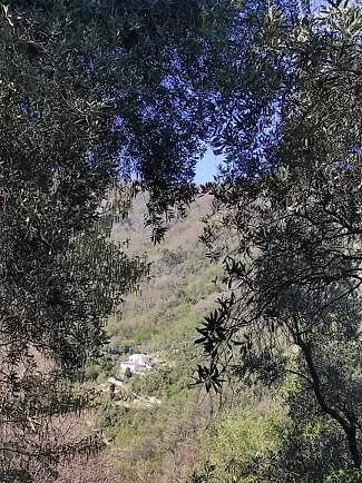 Tottavilla Affittacamere